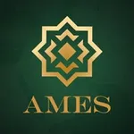 Аватар канала Це AMES: коментарі, оцінки, погляди