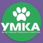 Аватар канала Фонд УМКА