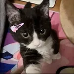 Аватар канала FaraH 🦦