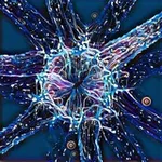 Аватар канала the last neural cell