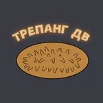 Аватар канала Трепанг ДВ