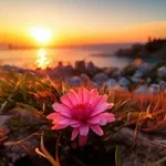 Аватар канала Красивые цветочки и не только...