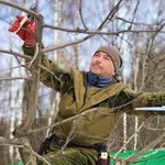 Аватар канала Сад – философия Жизни