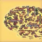 Аватар канала HSE Moscow Neuro-Cognitive Experiments