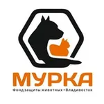 Аватар канала Фонд Мурка