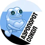 Аватар канала Аэропорт и Сокол • TGMsk