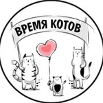 Аватар канала ВРЕМЯ КОТОВ