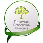 Аватар канала Павловский питомник