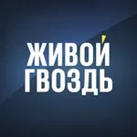 Аватар канала Живой Гвоздь