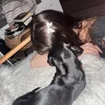 Аватар канала sickleswllw