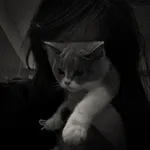 Аватар канала ⲣυⳅυ ⲗⲟⲧⲥ 🕸️