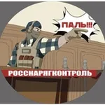 Аватар канала РосСнарягКонтроль (тот самый DOOMER_SQUAD)