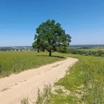 Аватар канала Мир глазами агроэколога