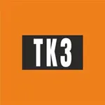 Аватар канала Труд кадры зарплата| Карсетская Елена