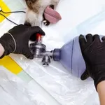 Аватар канала Dr.Eltsova_vet