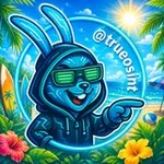 Аватар канала True OSINT