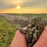Аватар канала al-jaqsin saular militia
