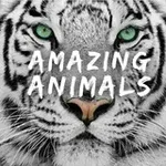Аватар канала 🦋 Amazing Animals ™️ 🦋