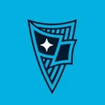 Аватар канала ФК «Родина» | 2, 3, М