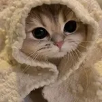 Аватар канала нотмалваре)️️