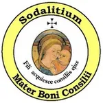Аватар канала Sodalitium.eu