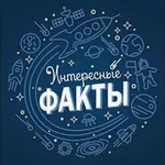 Аватар канала Фактач