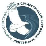 Аватар канала n_svirsky