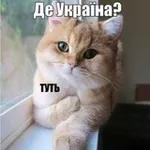 Аватар канала Всратість головного мозку #УкрТґ