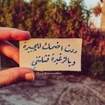 Аватар канала 🍃 رمزيآتہ آميہرة 🍂