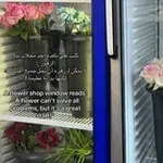 Аватар канала عنقود عنب 🫐