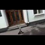 Аватар канала fromparis