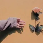 Аватар канала Hêmdêm