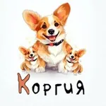 Аватар канала КОРГИЯ