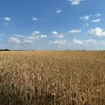 Аватар канала Maps and stuff