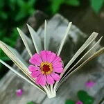 Аватар канала 🔍 صــورة وكـتــابـة ✍