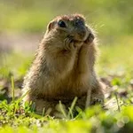 Аватар канала Игорь Шпиленок