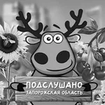 Аватар канала Подслушано Запорожская область