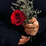 Аватар канала كبرياء الورد ..✿❥●•