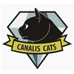 Аватар канала Canalis Analis 🇺🇦