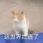 Аватар канала 橘子综合资源分享中心
