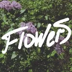 Аватар канала F.L.O.W.E.R.S.