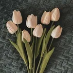 Аватар канала Tulip | توليب 🌷