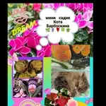 Аватар канала Мини ☘ садик Кота Барбоскина 🪴