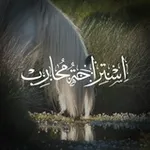 Аватар канала استراحة محارب