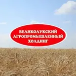 Аватар канала Великолукский Агропромышленный Холдинг