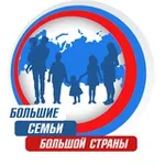 Аватар канала Большие семьи большой страны