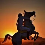 Аватар канала إِسْلَام مَنْصُوْر