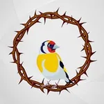 Аватар канала Тернистый путь