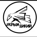 Аватар канала Дикий Крым | Походы, скалолазание, альпинизм и виа феррата в Крыму