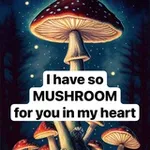 Аватар канала Die mit dem Pilz spricht 🍄